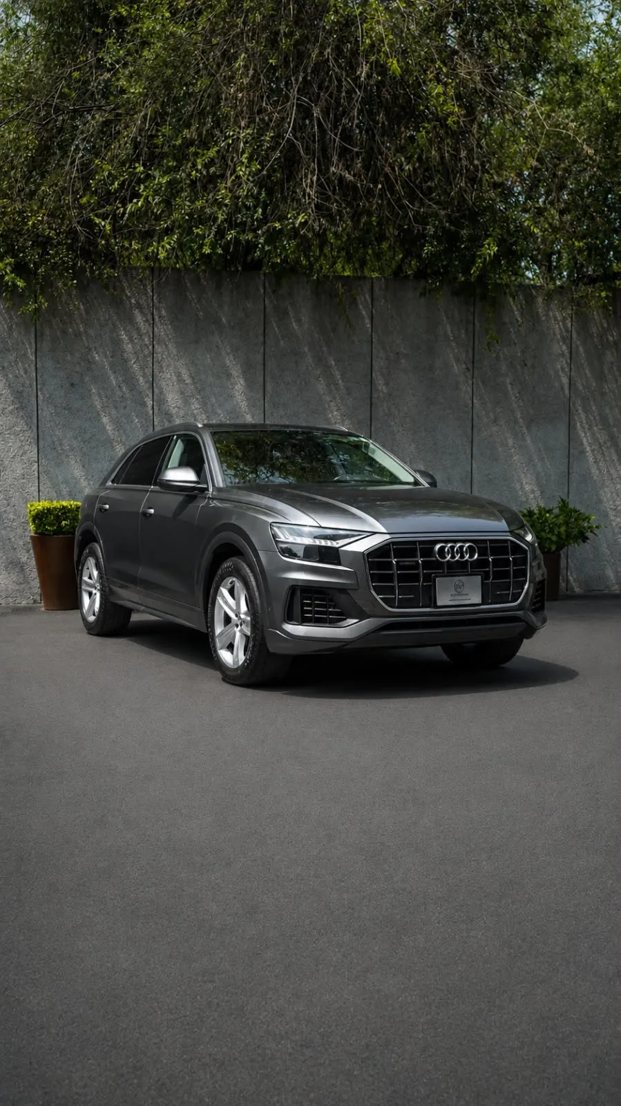 Audi Q8 2020