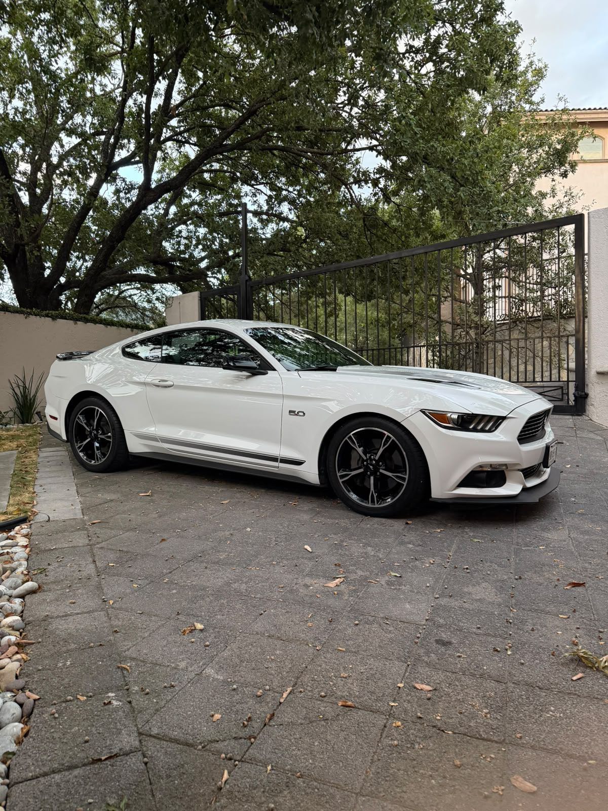 Ford Mustang GT 2018 — foto 1 de 6