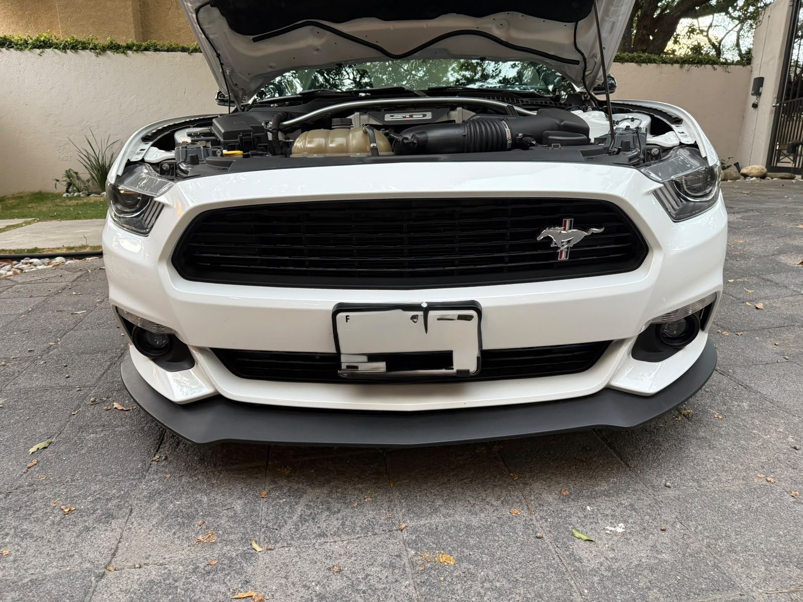 Ford Mustang GT 2018 — foto 2 de 6