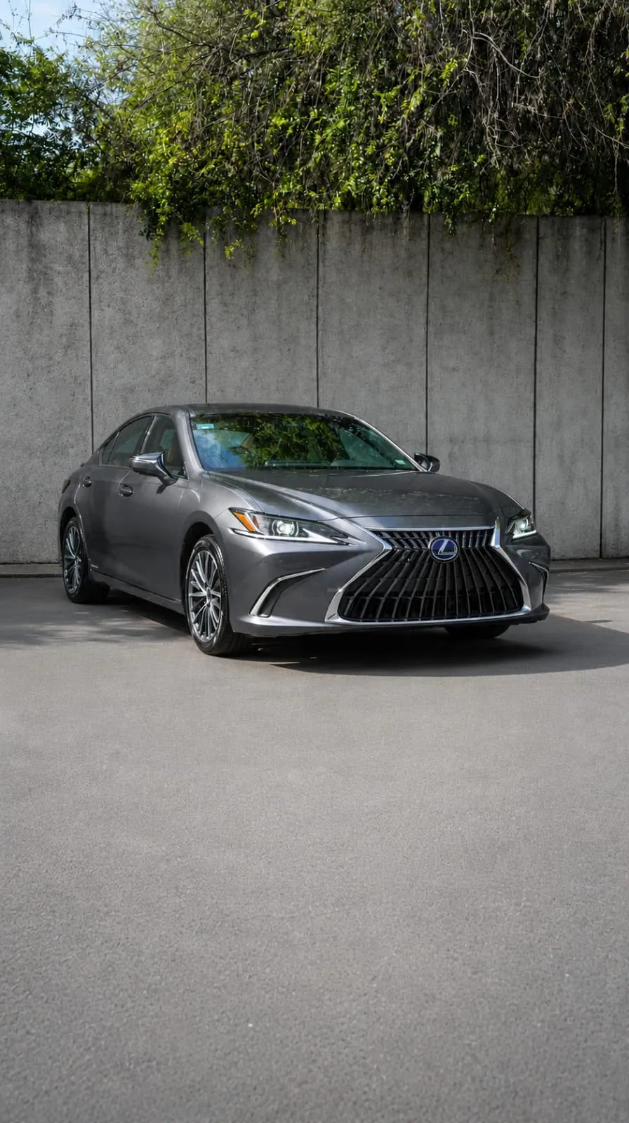 Lexus ES 2022 — foto 1 de 10