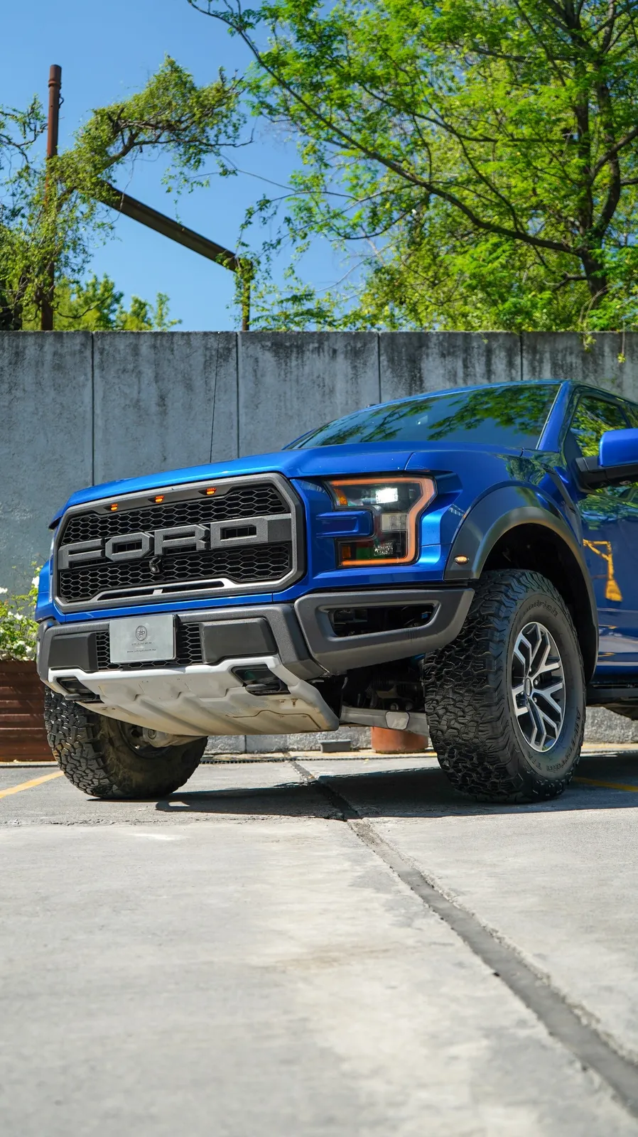 Ford Lobo Raptor 2018 — foto 3 de 12