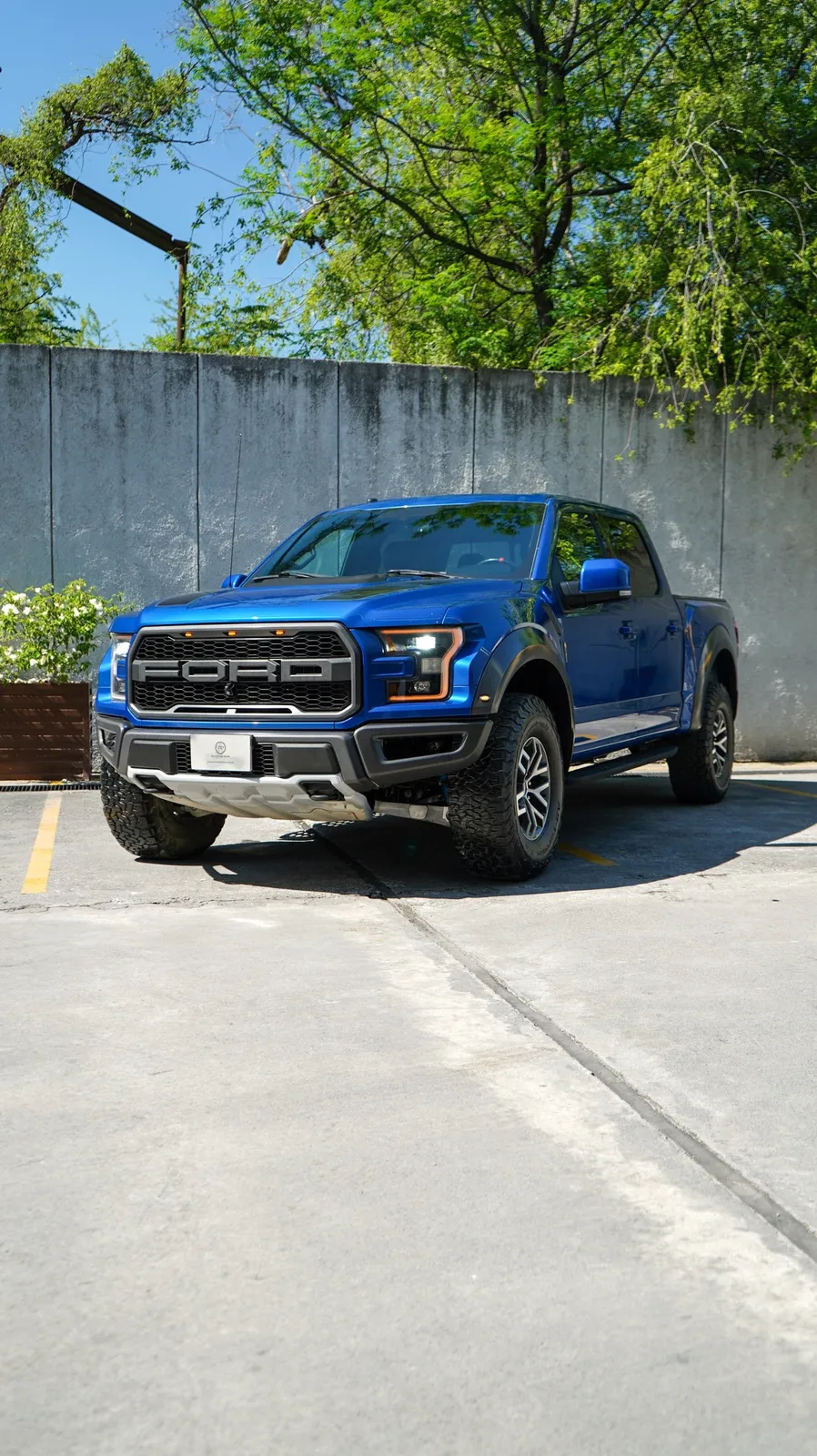 Ford Lobo Raptor 2018 — foto 2 de 12