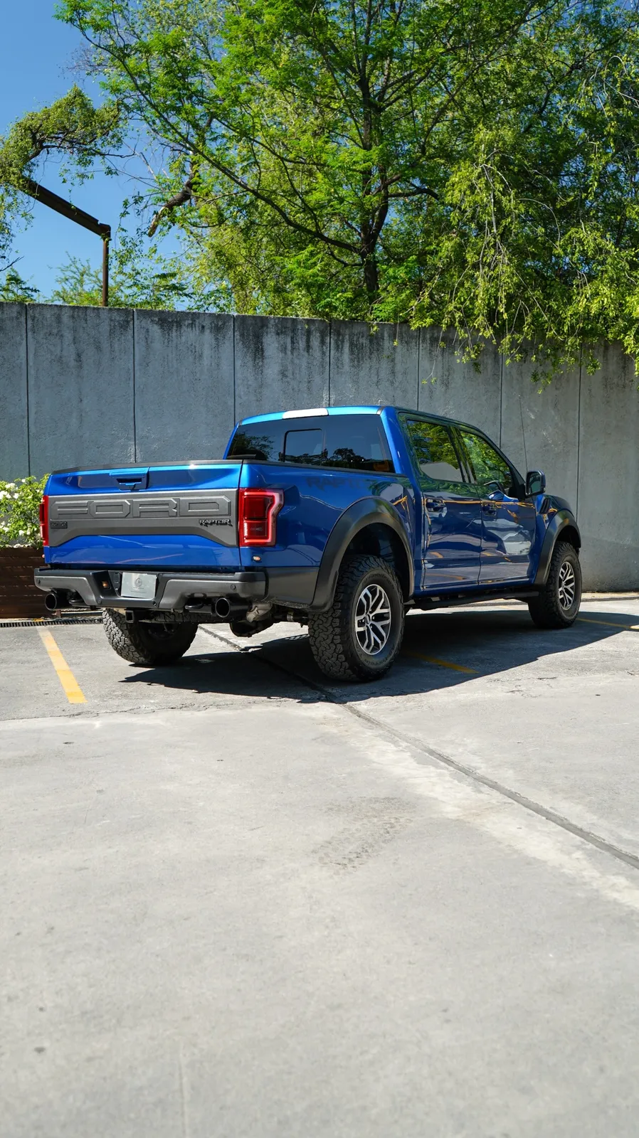 Ford Lobo Raptor 2018 — foto 5 de 12
