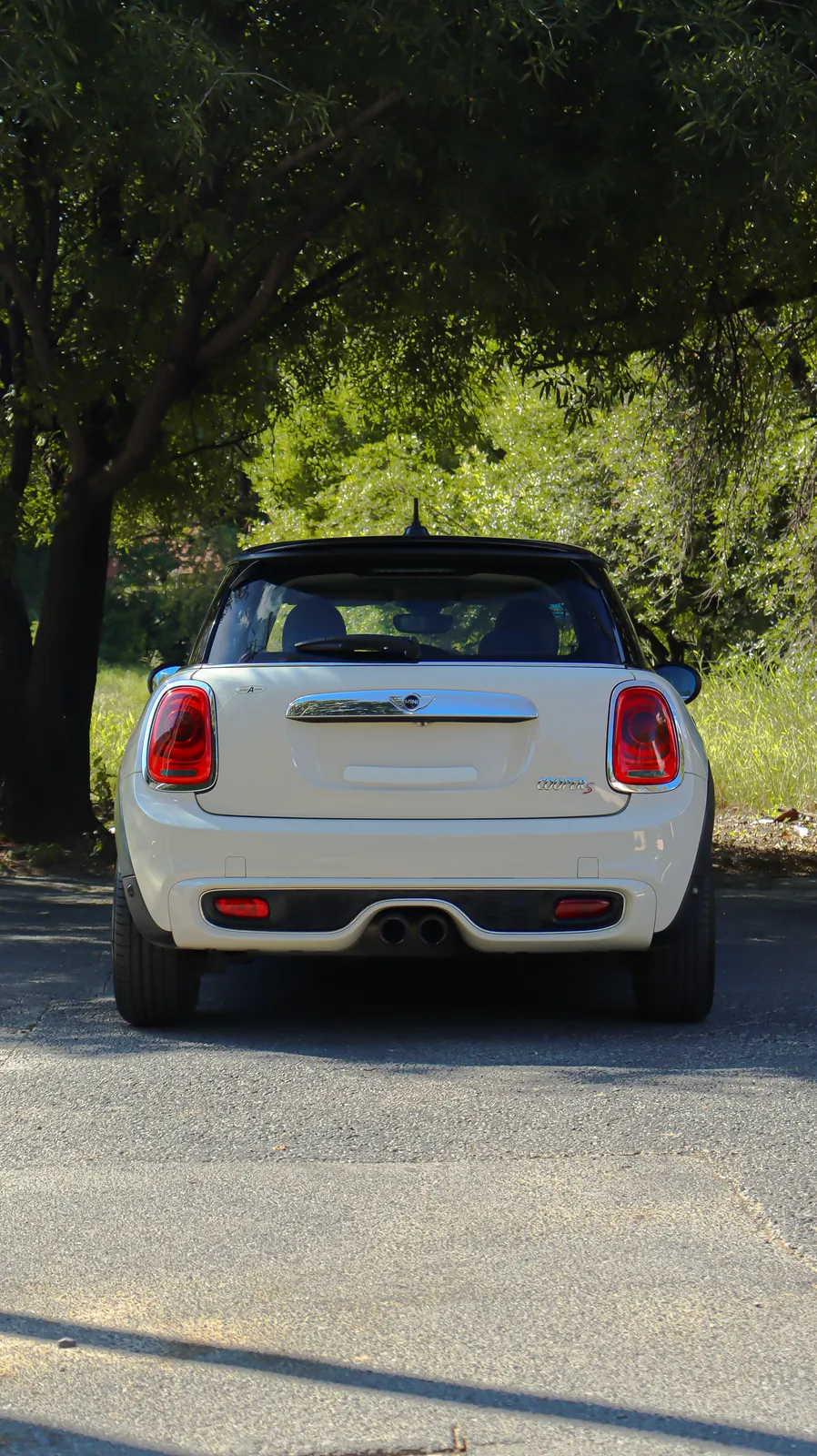 MINI Cooper S 2017 — foto 8 de 15