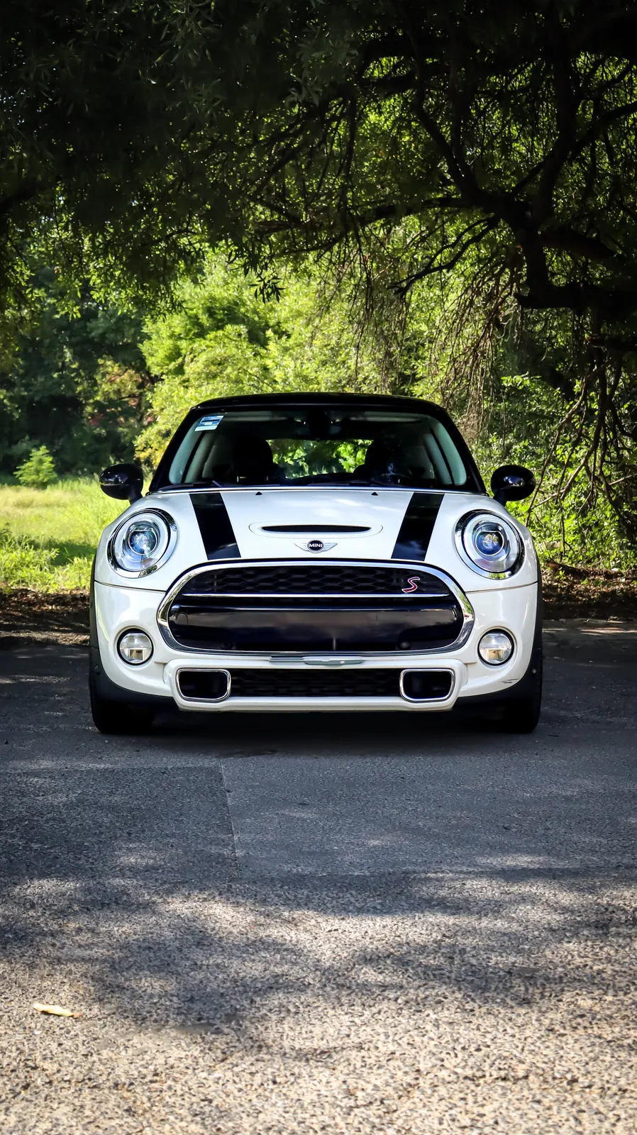MINI Cooper S 2017 — foto 2 de 15