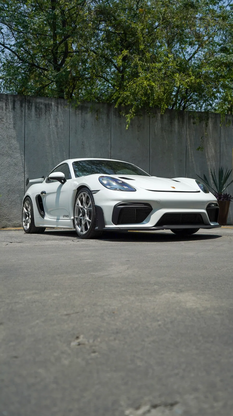 Porsche 718 cayman 2025 — foto 3 de 15