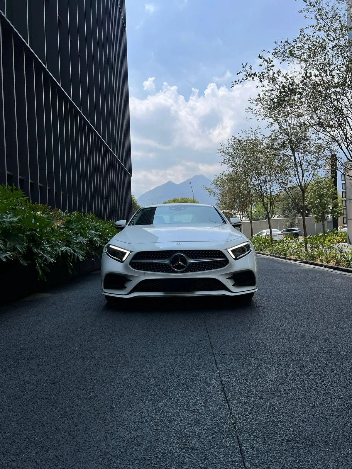Mercedes-Benz Clase CLS 2019 — foto 9 de 15